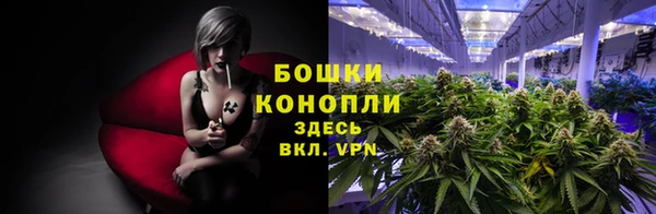 ГАЛЛЮЦИНОГЕННЫЕ ГРИБЫ Баксан