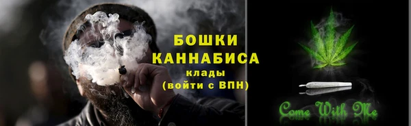 ГАЛЛЮЦИНОГЕННЫЕ ГРИБЫ Баксан