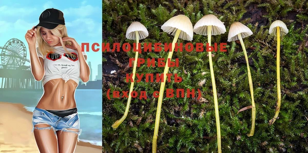 ПСИЛОЦИБИНОВЫЕ ГРИБЫ Балабаново