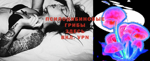 СК Балахна