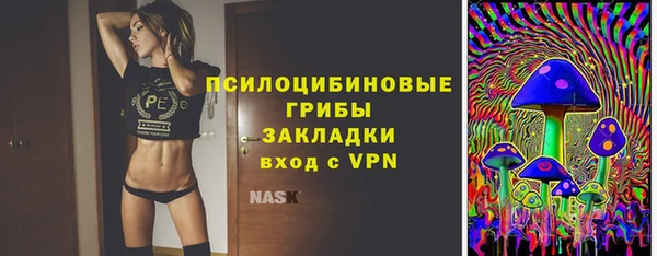 ГАЛЛЮЦИНОГЕННЫЕ ГРИБЫ Баксан